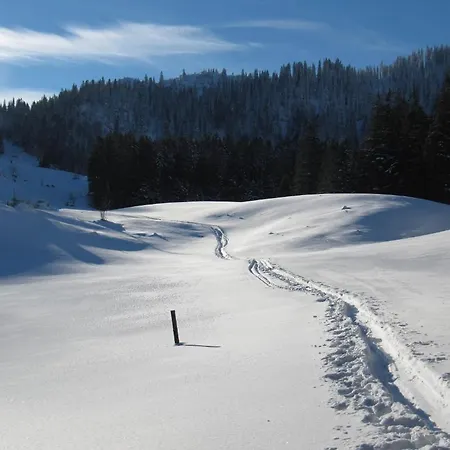 Hotel-pension-ostler 3* Bad Wiessee