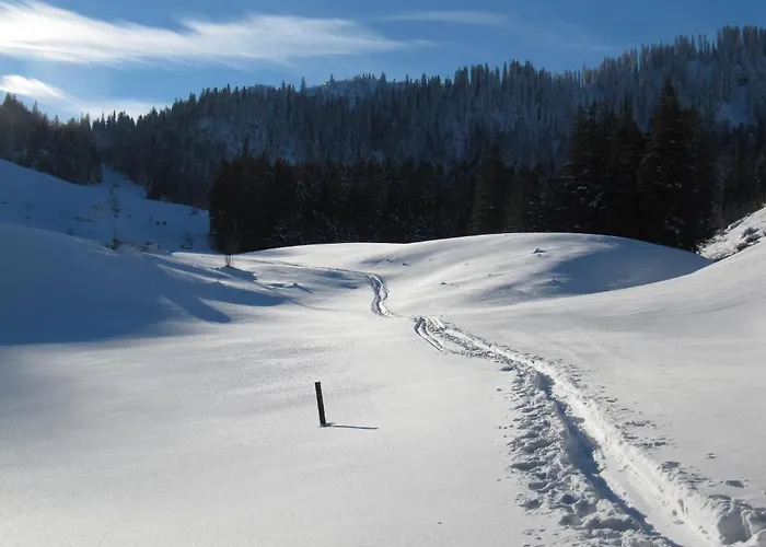 Hotel-pension-ostler 3* Bad Wiessee