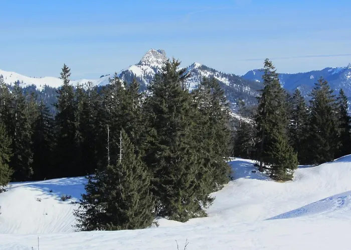 Hotel-pension-ostler Affittacamere Bad Wiessee